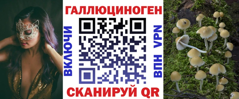 Псилоцибиновые грибы Cubensis  сайты даркнета наркотические препараты  Кулебаки  даркнет сайт 